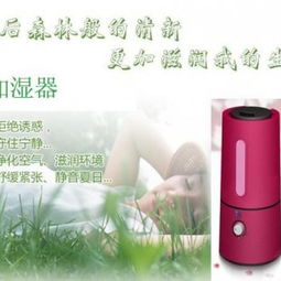 专业雾化器与加湿器源头厂商——卓越塑胶五金制品厂