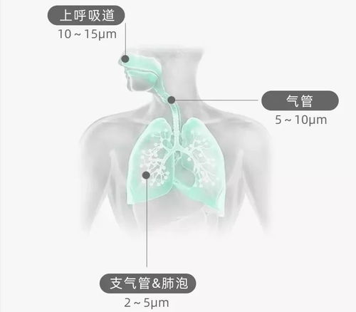 疫情之下，宝宝生病了该怎么办——雾化器的正确使用与护理指南